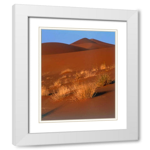 Grasses, Sand Dunes Sahara White Modern Wood Framed Art Print with Double Matting by Blue, Cyril