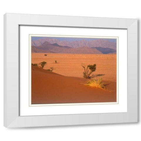 Grasses, Trees, Sand Dunes Sahara White Modern Wood Framed Art Print with Double Matting by Blue, Cyril