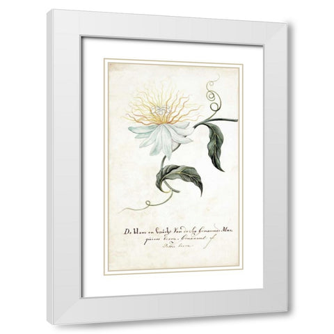Passion Tree White Modern Wood Framed Art Print with Double Matting by Markee, Cornelis
