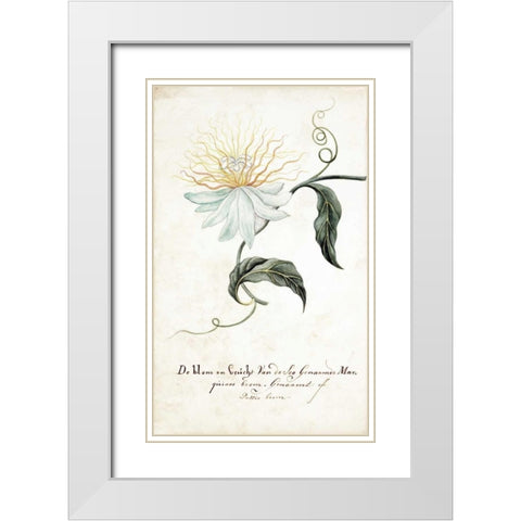 Passion Tree White Modern Wood Framed Art Print with Double Matting by Markee, Cornelis