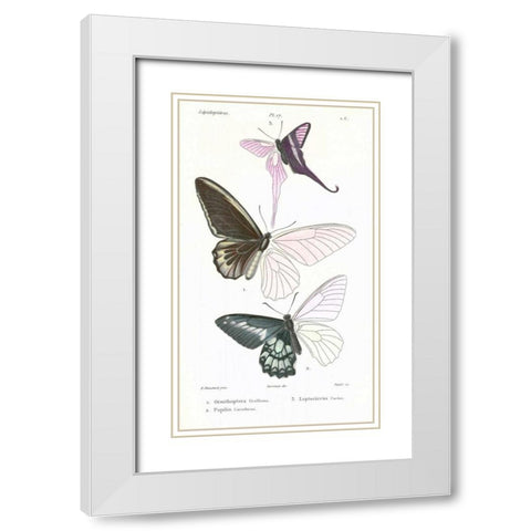 Butterflies, Plate 17 White Modern Wood Framed Art Print with Double Matting by Blanchard, Emile