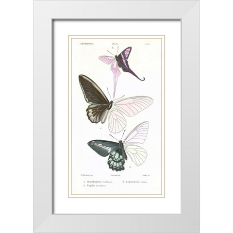 Butterflies, Plate 17 White Modern Wood Framed Art Print with Double Matting by Blanchard, Emile