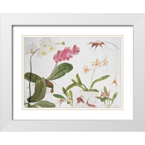 Orchid Studies White Modern Wood Framed Art Print with Double Matting by Blackadder, Elizabeth