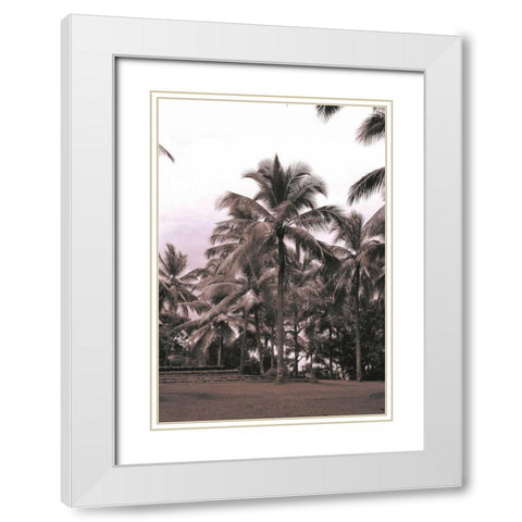 Coconut Palm, Serai White Modern Wood Framed Art Print with Double Matting by Blue, Cyril
