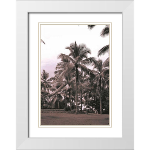 Coconut Palm, Serai White Modern Wood Framed Art Print with Double Matting by Blue, Cyril
