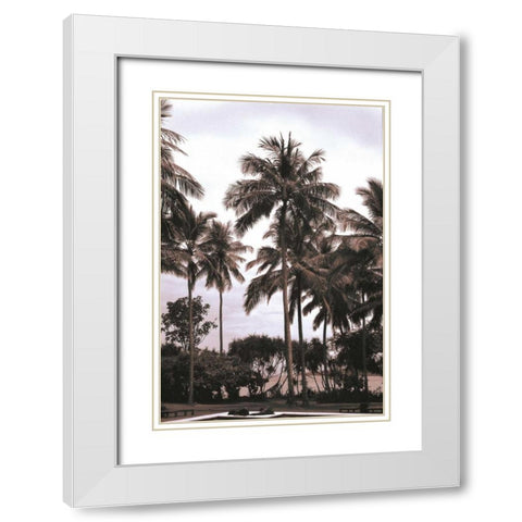 Coconut Grove, Candidasa White Modern Wood Framed Art Print with Double Matting by Blue, Cyril