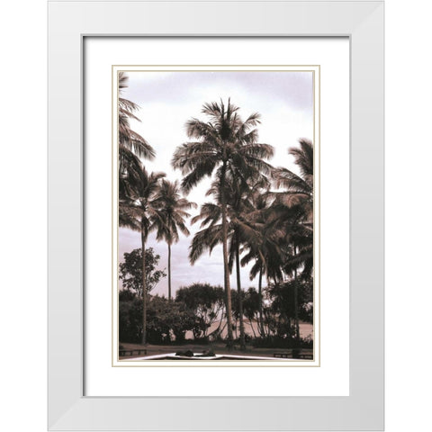 Coconut Grove, Candidasa White Modern Wood Framed Art Print with Double Matting by Blue, Cyril