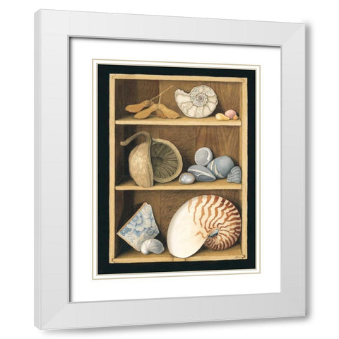 Shells on Shelves White Modern Wood Framed Art Print with Double Matting by Baron, Jenny