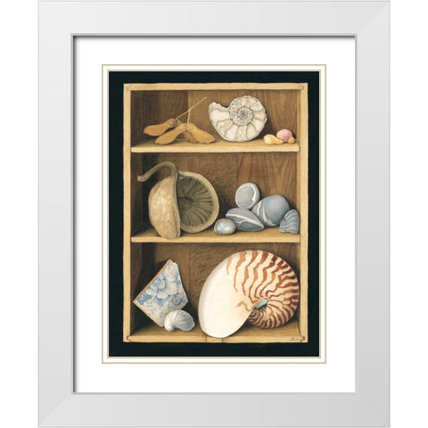 Shells on Shelves White Modern Wood Framed Art Print with Double Matting by Baron, Jenny