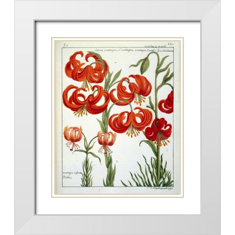 Lilium Martagon White Modern Wood Framed Art Print with Double Matting by De Chazelles, Laurent