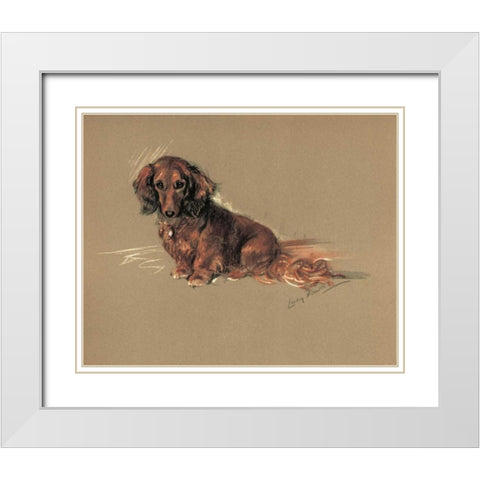 Daschund, Robin White Modern Wood Framed Art Print with Double Matting by Dawson, Lucy