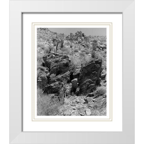 Twentynine Palms, San Bernadino, c1910 White Modern Wood Framed Art Print with Double Matting by Anonymous