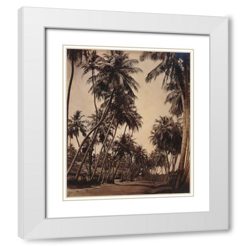 Coconut Palms, Coonoor India 1870 White Modern Wood Framed Art Print with Double Matting by Anonymous