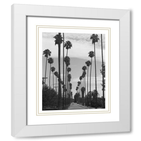 Palm Trees, Victoria Ave, Riverside c1910 White Modern Wood Framed Art Print with Double Matting by Anonymous