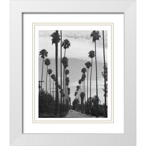 Palm Trees, Victoria Ave, Riverside c1910 White Modern Wood Framed Art Print with Double Matting by Anonymous