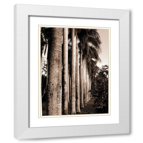 King Palms, Mauritius White Modern Wood Framed Art Print with Double Matting by Blue, Cyril