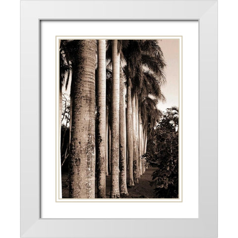 King Palms, Mauritius White Modern Wood Framed Art Print with Double Matting by Blue, Cyril