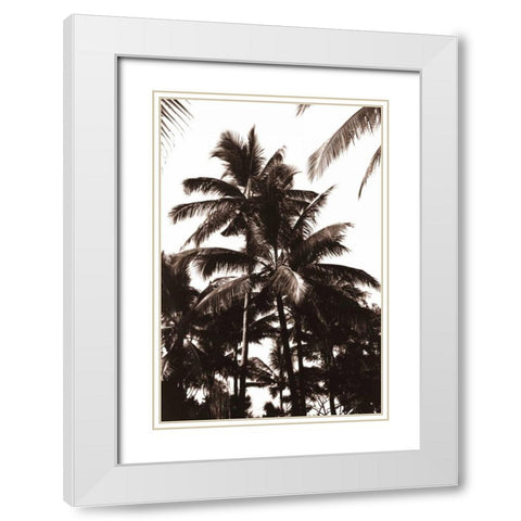 Coconut Palm, Bali White Modern Wood Framed Art Print with Double Matting by Blue, Cyril