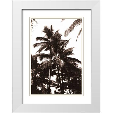 Coconut Palm, Bali White Modern Wood Framed Art Print with Double Matting by Blue, Cyril