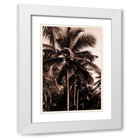 Coconut Palm, Bali White Modern Wood Framed Art Print with Double Matting by Blue, Cyril