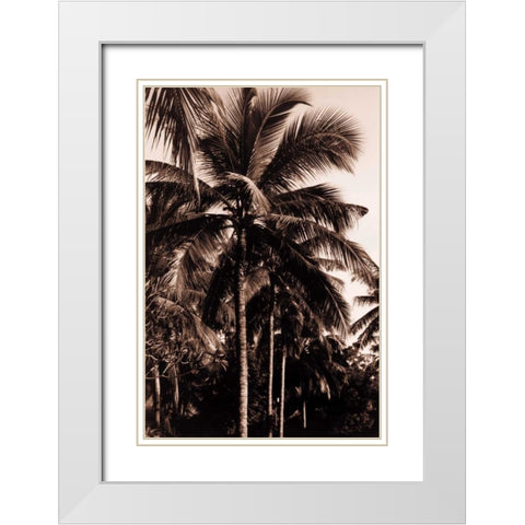 Coconut Palm, Bali White Modern Wood Framed Art Print with Double Matting by Blue, Cyril