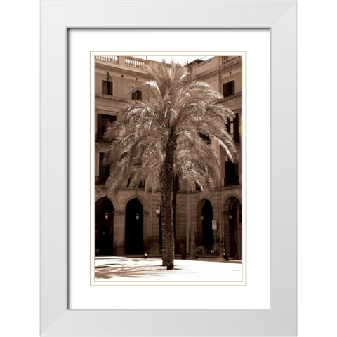 Canary Palm, Barcelona White Modern Wood Framed Art Print with Double Matting by Blue, Cyril