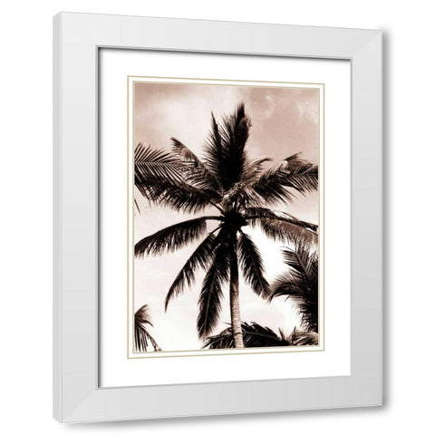 Coconut Palm, Bali White Modern Wood Framed Art Print with Double Matting by Blue, Cyril