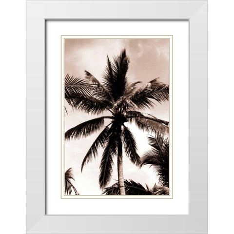 Coconut Palm, Bali White Modern Wood Framed Art Print with Double Matting by Blue, Cyril