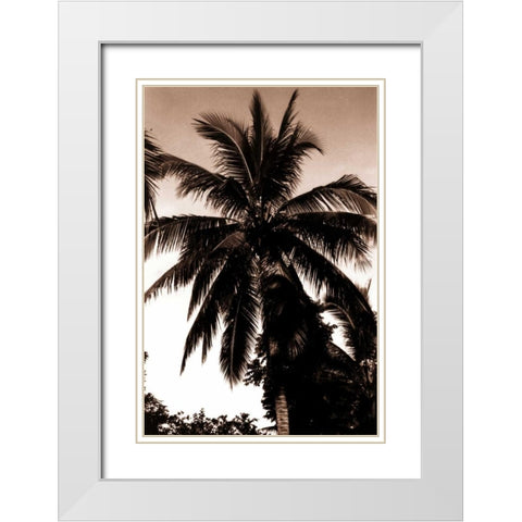 Coconut Palm, Bali White Modern Wood Framed Art Print with Double Matting by Blue, Cyril