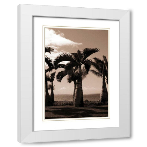 Date Palm, Mauritius White Modern Wood Framed Art Print with Double Matting by Blue, Cyril