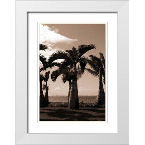 Date Palm, Mauritius White Modern Wood Framed Art Print with Double Matting by Blue, Cyril