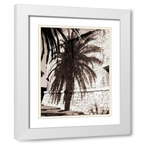 Palm Shadow, Antibes White Modern Wood Framed Art Print with Double Matting by Blue, Cyril