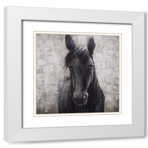 BLACK HORSE White Modern Wood Framed Art Print with Double Matting by Atelier B Art Studio