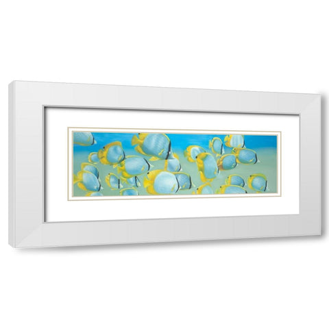 Butterfly Fishs White Modern Wood Framed Art Print with Double Matting by Atelier B Art Studio