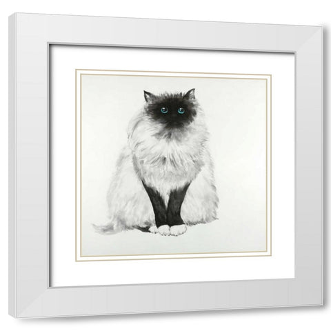 Blue Eyes Fluffy Siamese Cat White Modern Wood Framed Art Print with Double Matting by Atelier B Art Studio