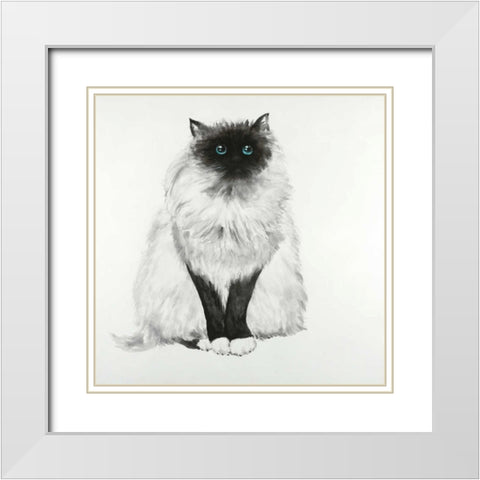 Blue Eyes Fluffy Siamese Cat White Modern Wood Framed Art Print with Double Matting by Atelier B Art Studio