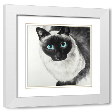 Blue Eyes Siamese Cat White Modern Wood Framed Art Print with Double Matting by Atelier B Art Studio