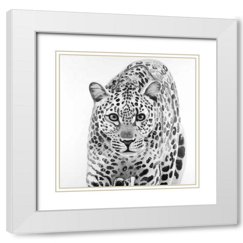 Leopard Ready to Attack White Modern Wood Framed Art Print with Double Matting by Atelier B Art Studio