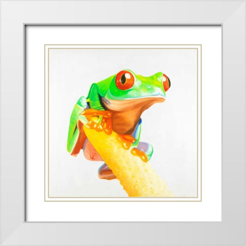 Curious Red-eyed Frog White Modern Wood Framed Art Print with Double Matting by Atelier B Art Studio