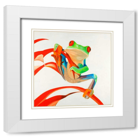 Red-eyed Frog White Modern Wood Framed Art Print with Double Matting by Atelier B Art Studio