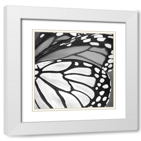 Black and White Monarch White Modern Wood Framed Art Print with Double Matting by Atelier B Art Studio