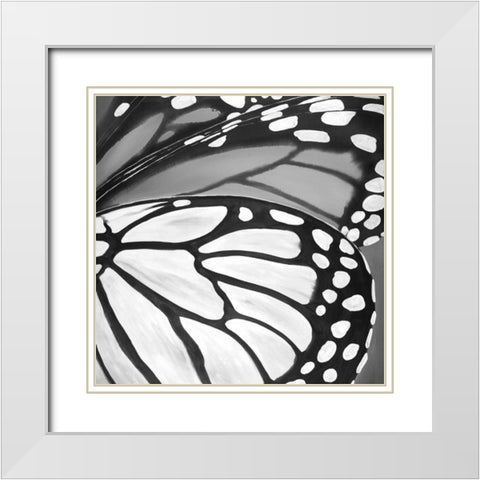 Black and White Monarch White Modern Wood Framed Art Print with Double Matting by Atelier B Art Studio