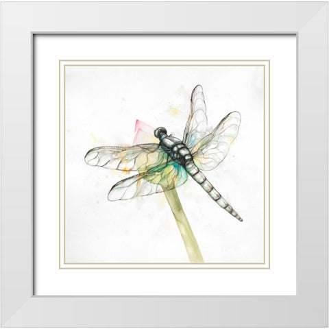 Dragonfly on a Flower Bud White Modern Wood Framed Art Print with Double Matting by Atelier B Art Studio