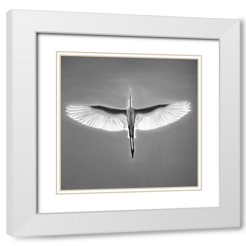 GREAT BLUE HERON IN FLIGHT White Modern Wood Framed Art Print with Double Matting by Atelier B Art Studio