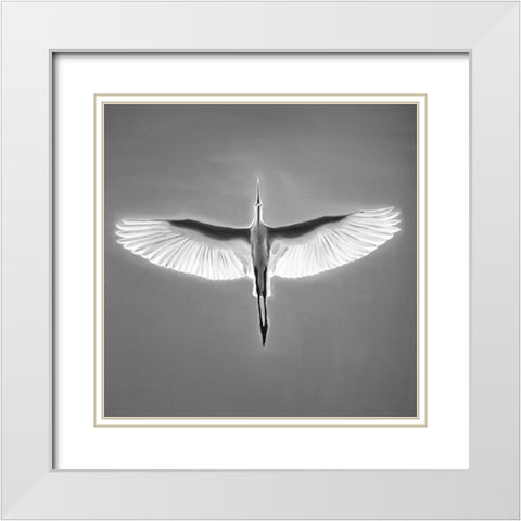 GREAT BLUE HERON IN FLIGHT White Modern Wood Framed Art Print with Double Matting by Atelier B Art Studio