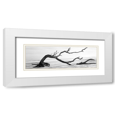 DEAD TREE IN THE MIDDLE OF WATER White Modern Wood Framed Art Print with Double Matting by Atelier B Art Studio