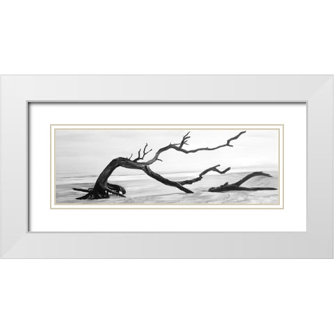 DEAD TREE IN THE MIDDLE OF WATER White Modern Wood Framed Art Print with Double Matting by Atelier B Art Studio