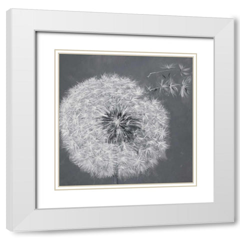 Blowing Dandelion White Modern Wood Framed Art Print with Double Matting by Atelier B Art Studio