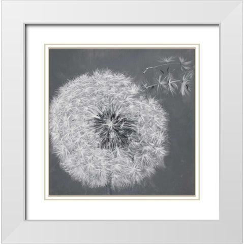 Blowing Dandelion White Modern Wood Framed Art Print with Double Matting by Atelier B Art Studio