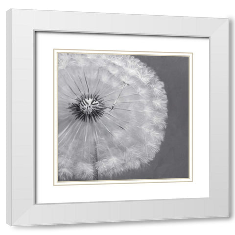 Dandelion Puff Ball White Modern Wood Framed Art Print with Double Matting by Atelier B Art Studio